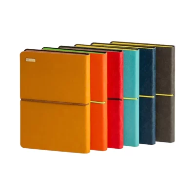 سررسید وزیری ۱۰۱