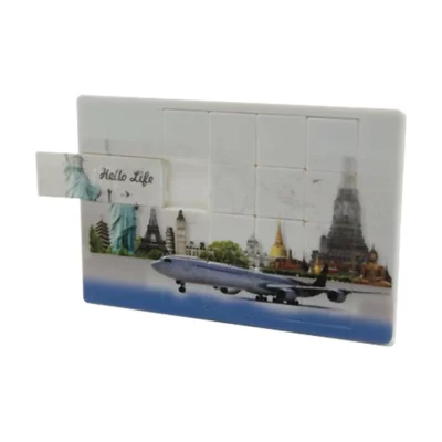 فلش مموری کارتی پازل D10